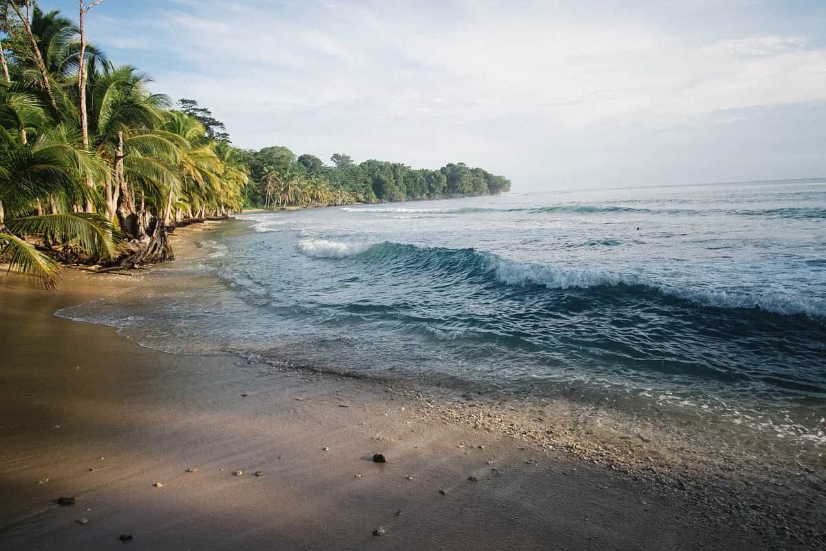 Playa con palmeras y olas suaves en Panamá
