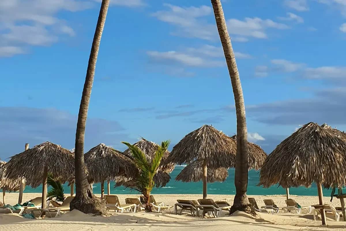 Palmeras y sombrillas de palma en una playa de arena blanca de Punta Cana